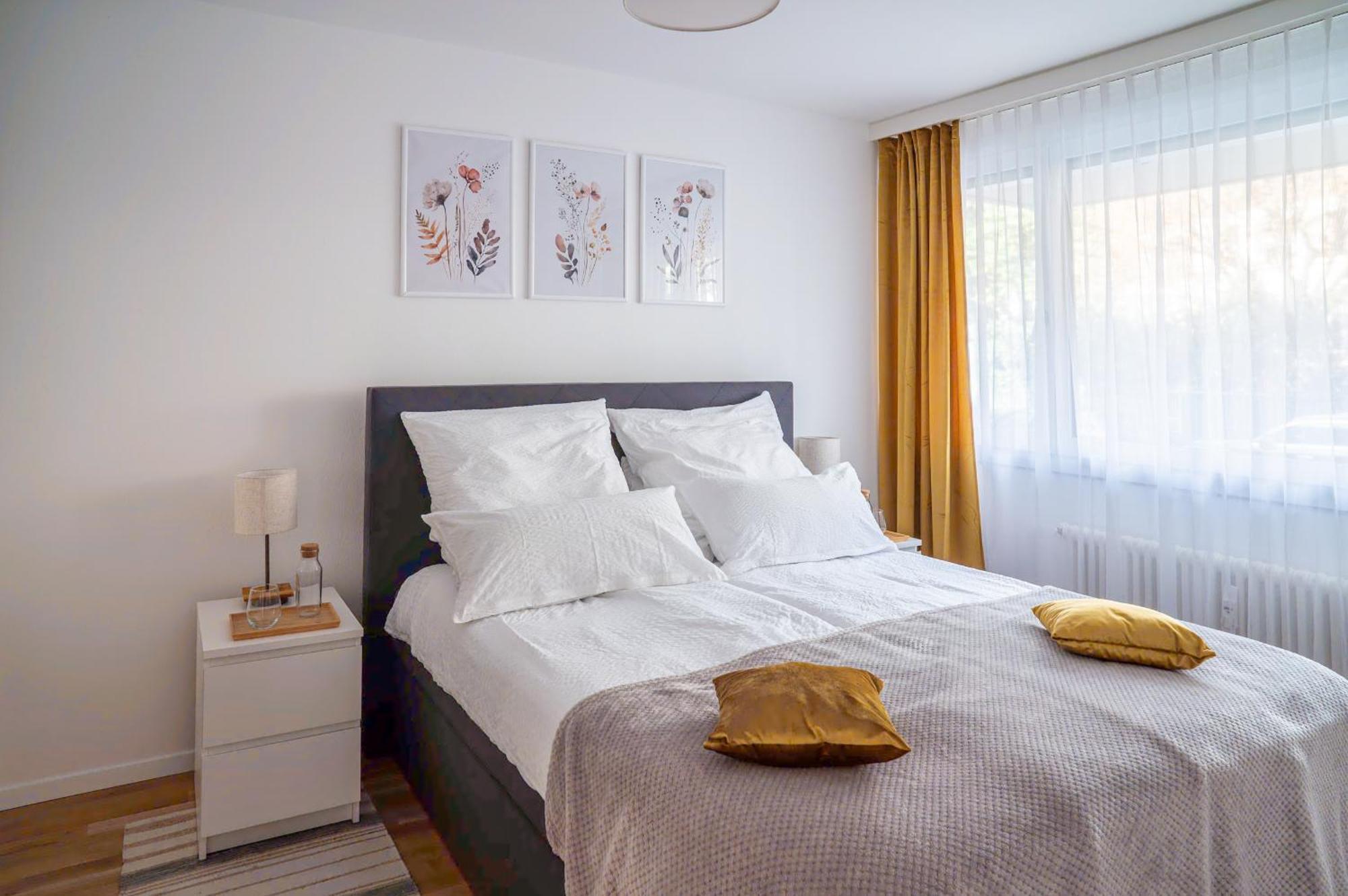 Expo-Basel-Ch Apt, Amazon Prime Video, Wifi, Coffee & Tee, Popcorn, Kitchen Eksteriør billede